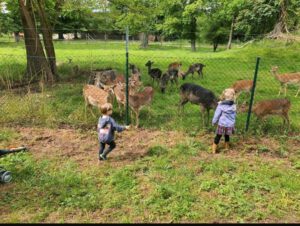 Naturverbundene Kindertagespflege Harlyhasen